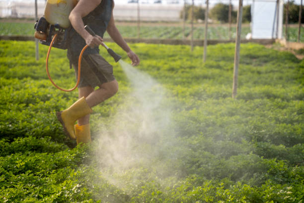 Best Best Pest Control Companies  in Dunnstown, PA