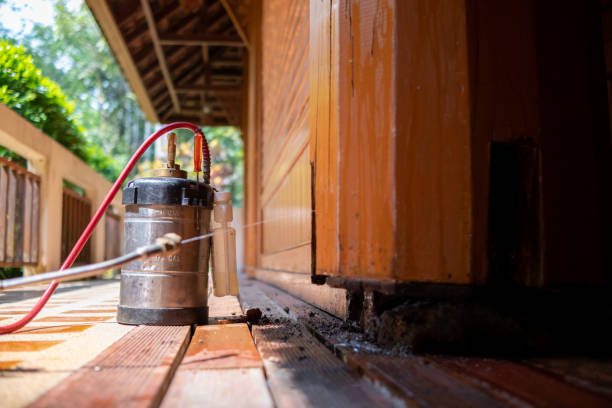 Best Ant Control Services  in Dunnstown, PA